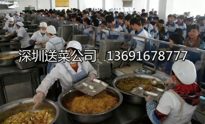 學校如何判斷送菜公司食材質量是否合格？
