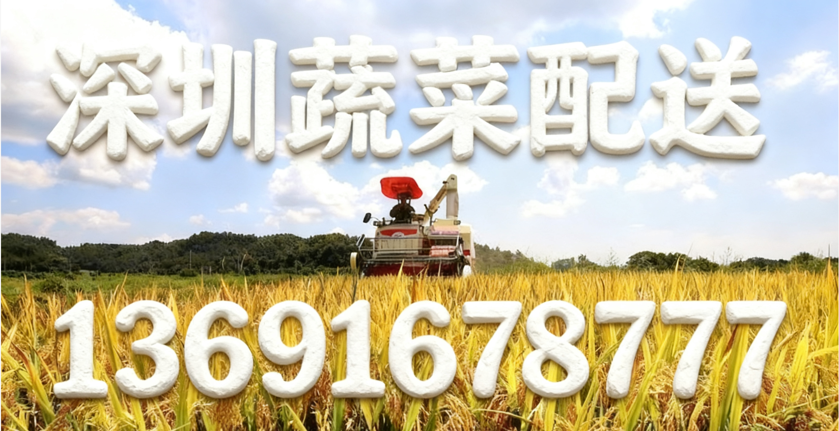 東莞蔬菜配送中心?解讀:“十五五” 怎么讓大家吃得更穩、更優？