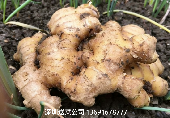 鮮姜實力派，深圳蔬菜配送公司送5大特效護您健康！