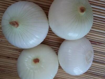 1760175356.jpg tupian_yangcong2.jpg