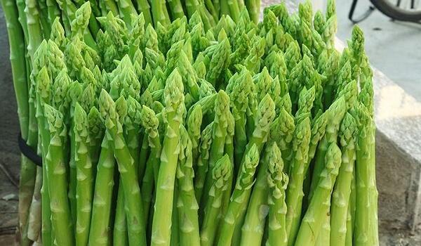 1760175458.jpg tupian_lusun6.jpg