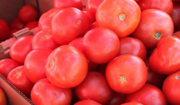 1760177746.jpg tupian_xihongshi4.jpg