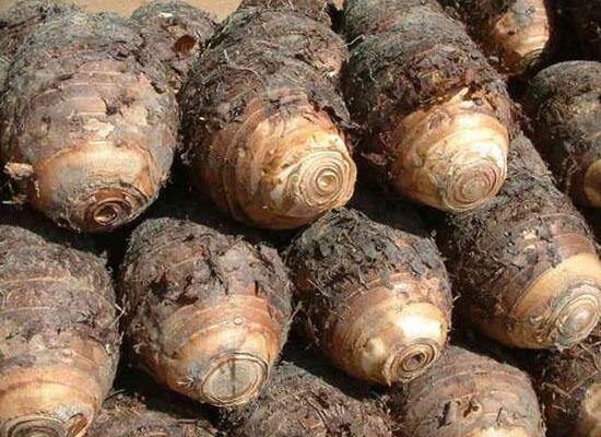 1760261740.jpg tupian_yutou.jpg