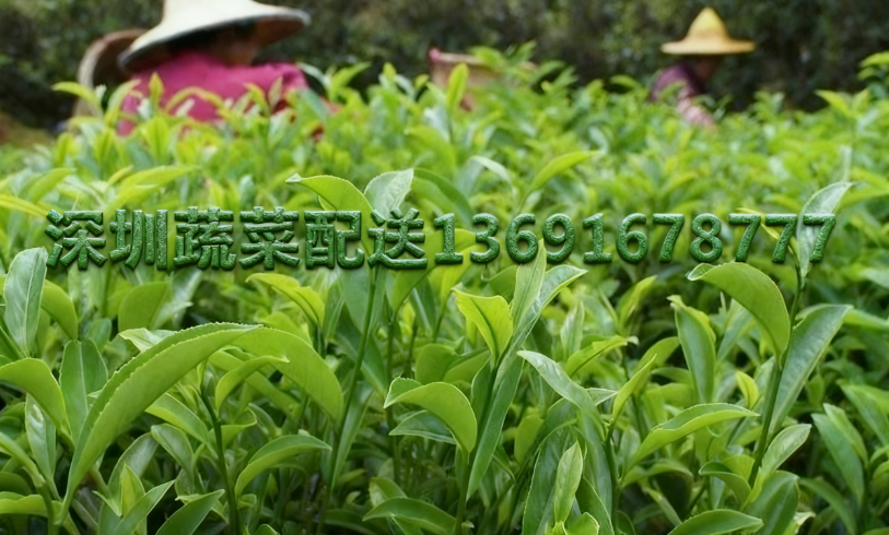 1764671743682734.png 微信圖片_20251202183358_235_35.png