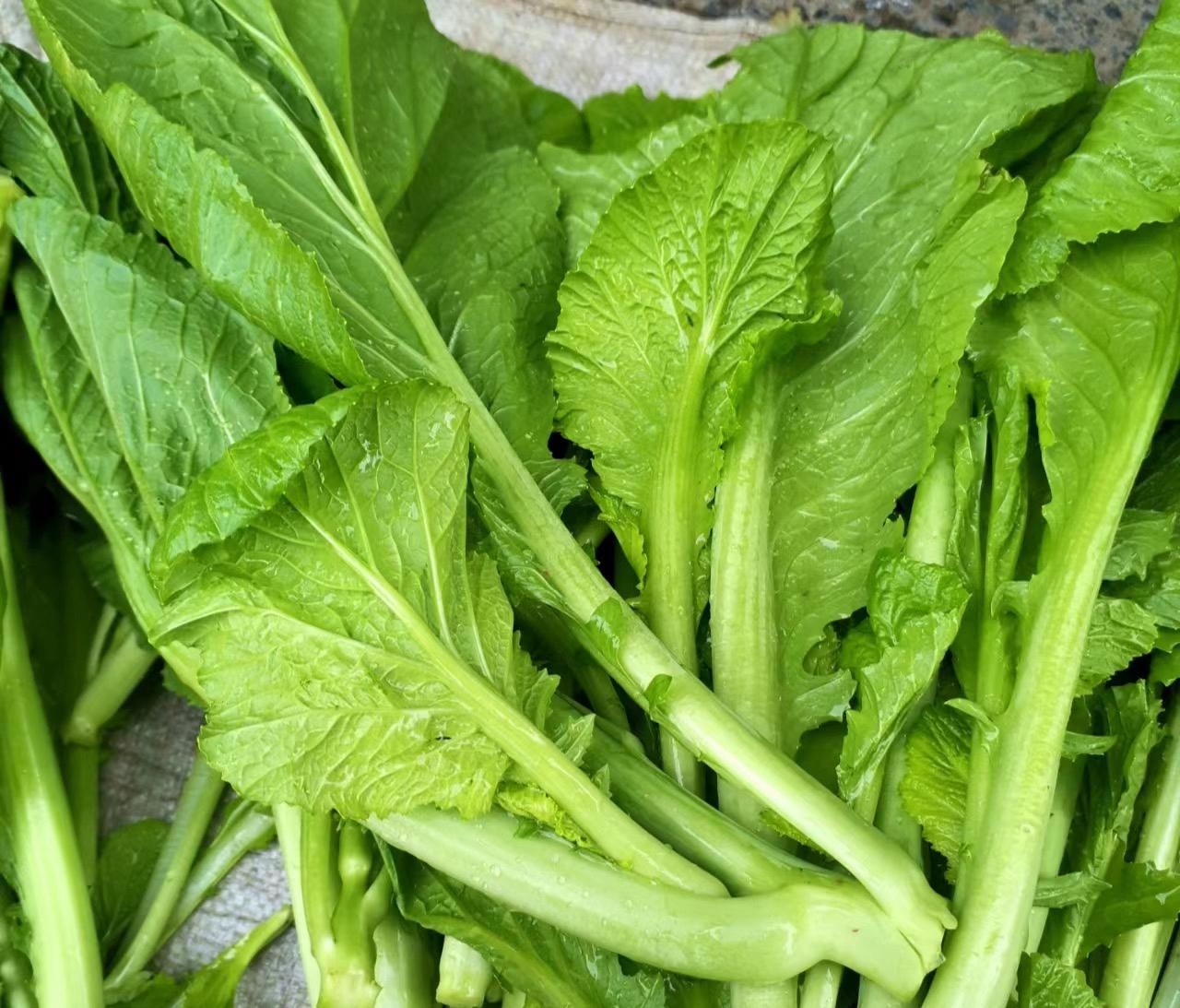 深圳蔬菜配送公司科普:為什么冷凍蔬菜不宜反復解凍冷凍?