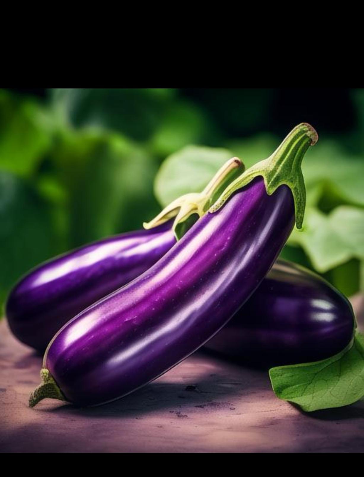 惠州食材配送中心談一談:茄子有哪些營養價值